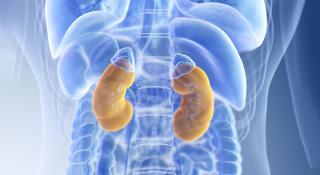 Nefropathie als gevolg van diabetes