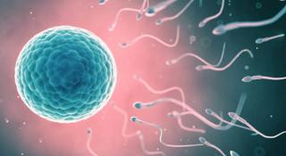 fertiliteitsbehandeling in Mechelen